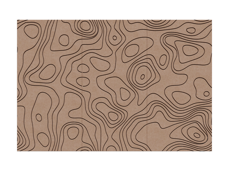 Contour — Camello