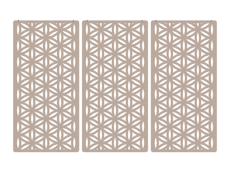 Blossom — Arena