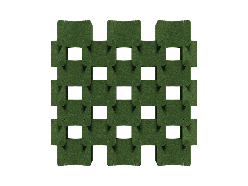 Murus