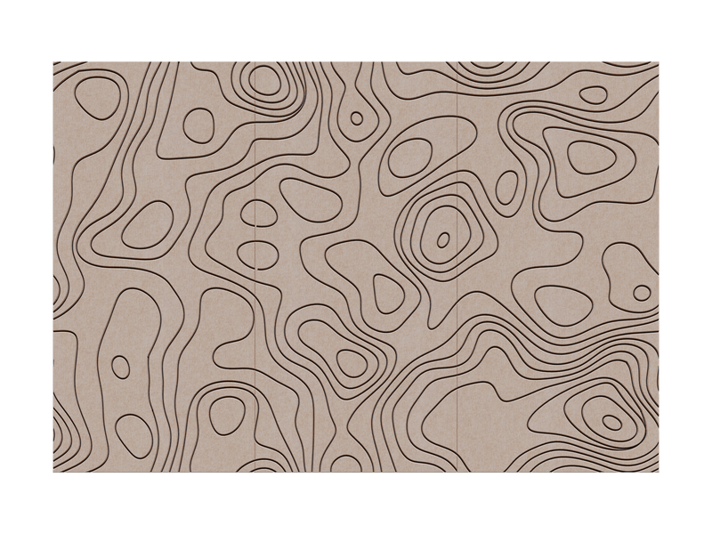 Contour — Arena