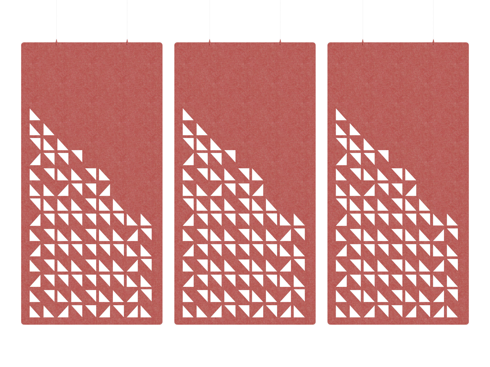 Celosia | Parvada