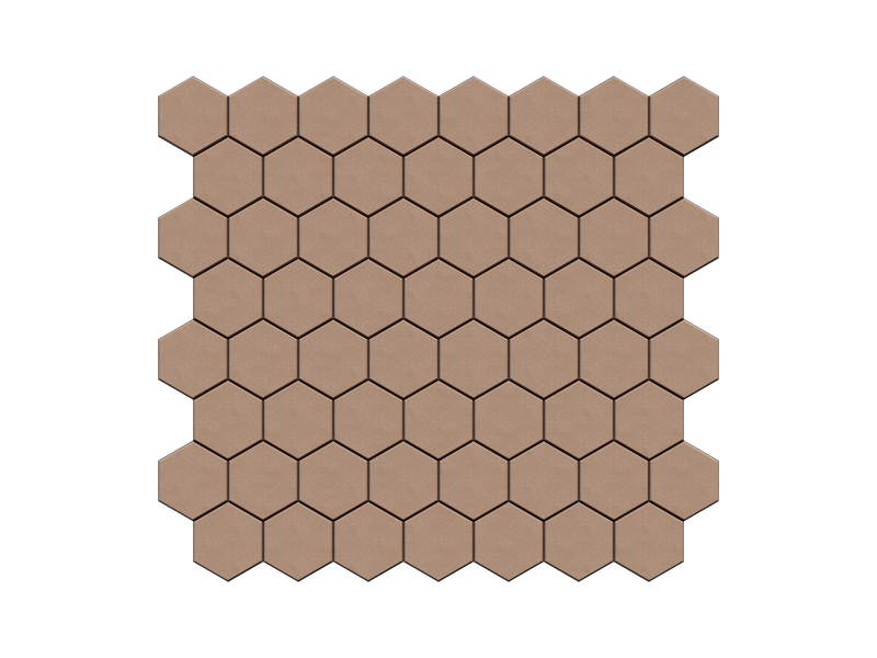 Terra — Camello