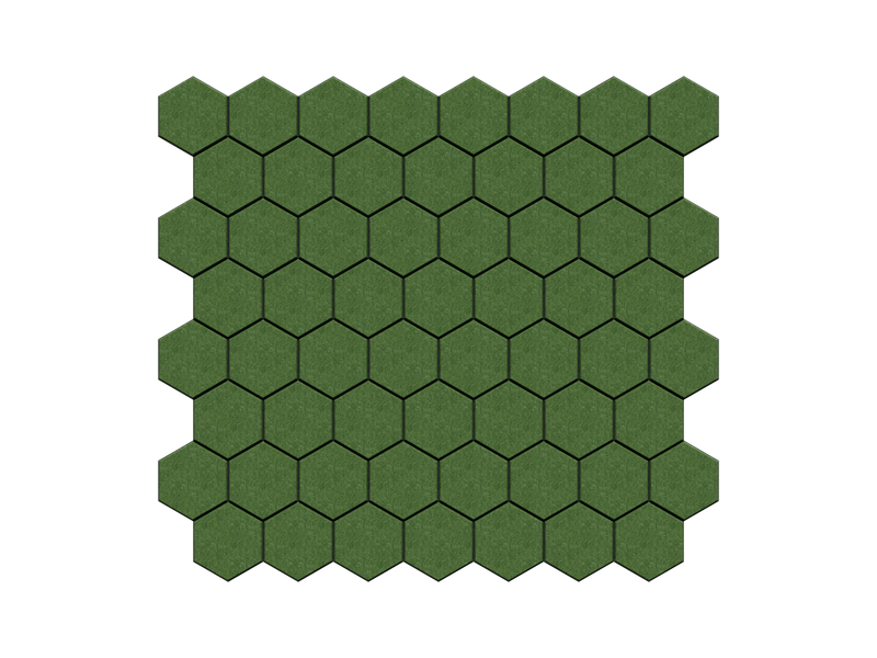 Terra — Alga